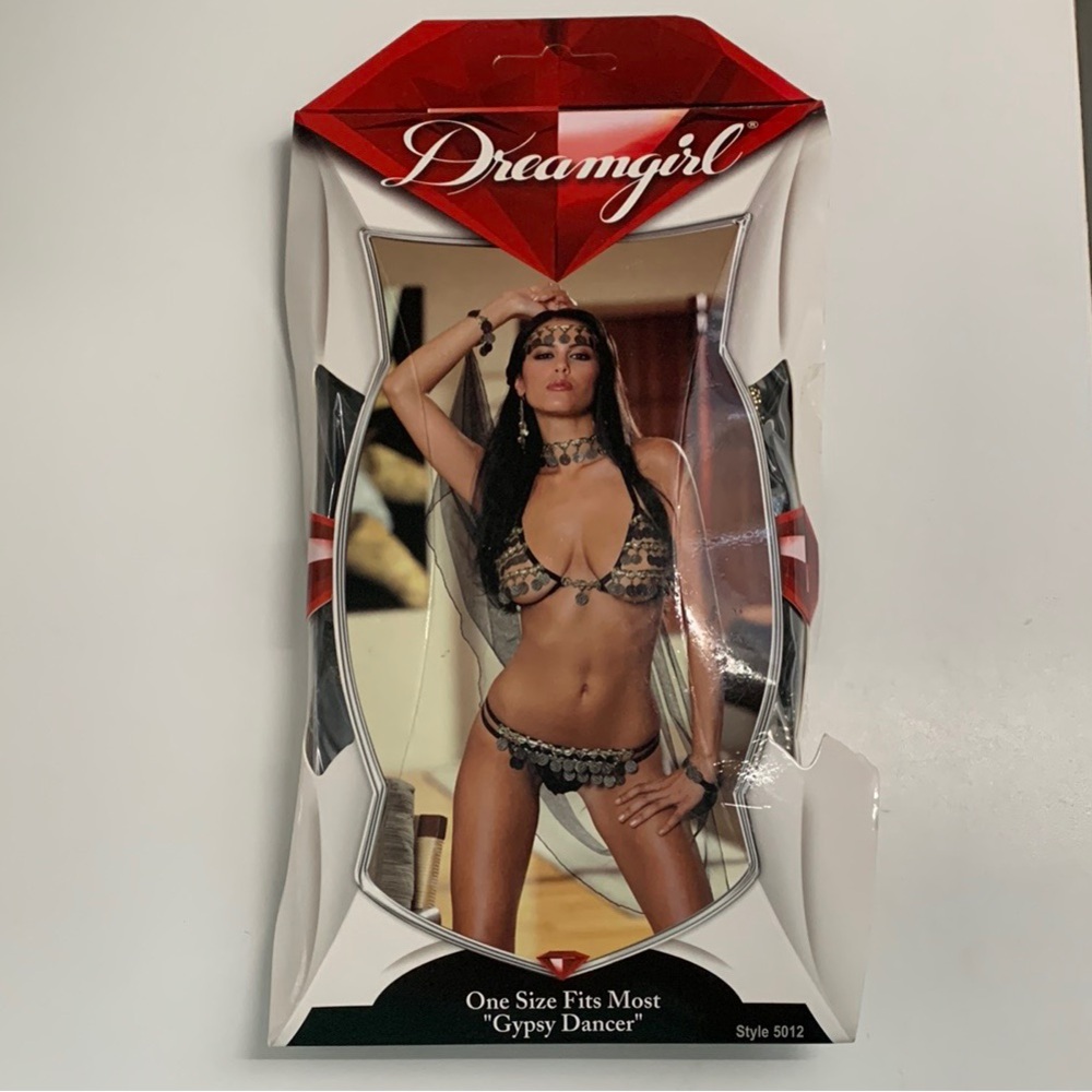 Dreamgirl Gypsy Dancer Exotic Dance Wear Costume